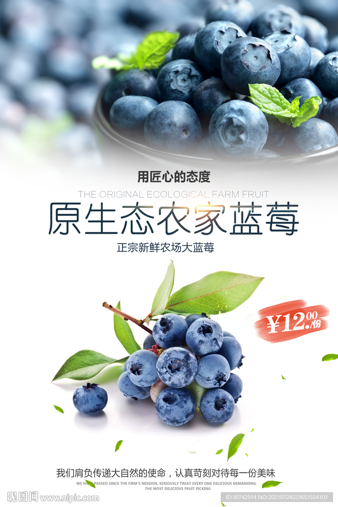 蓝莓