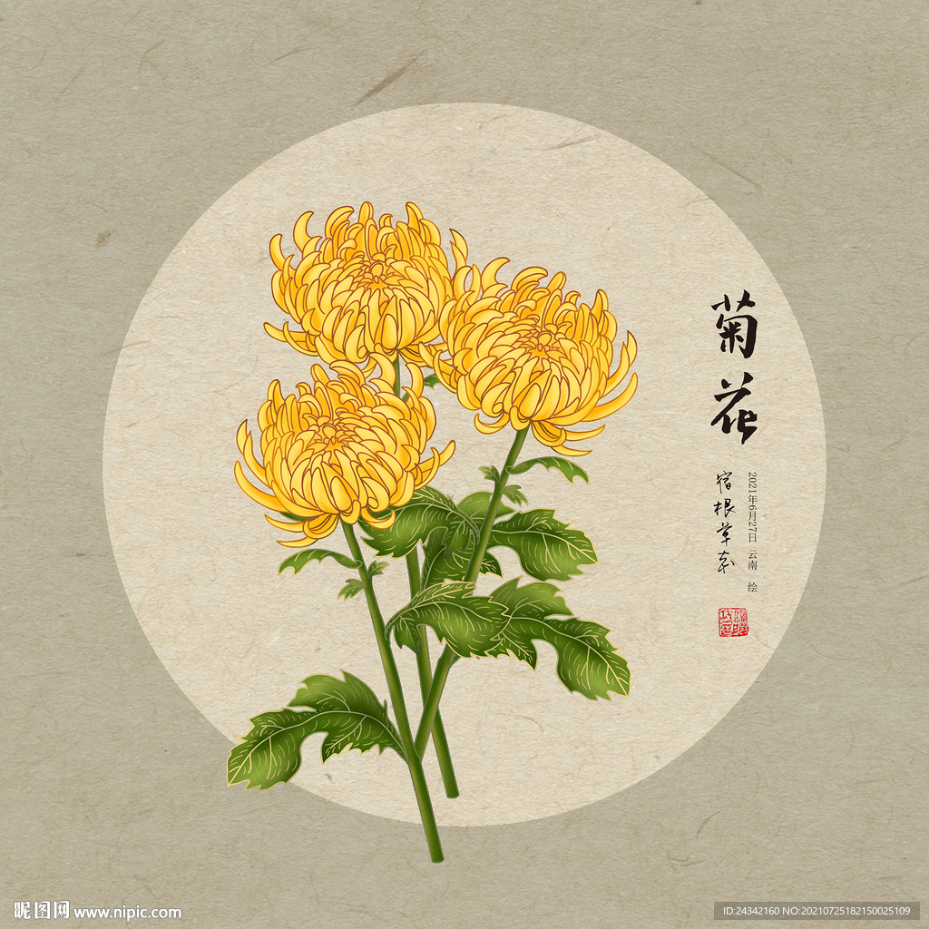 手绘菊花