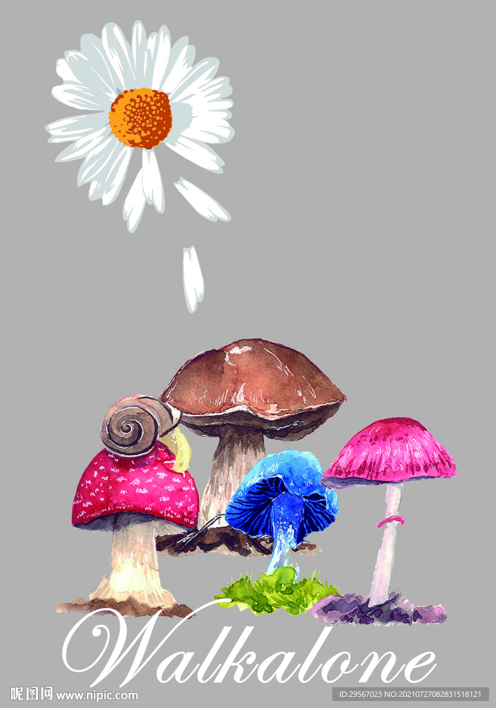 蘑菇