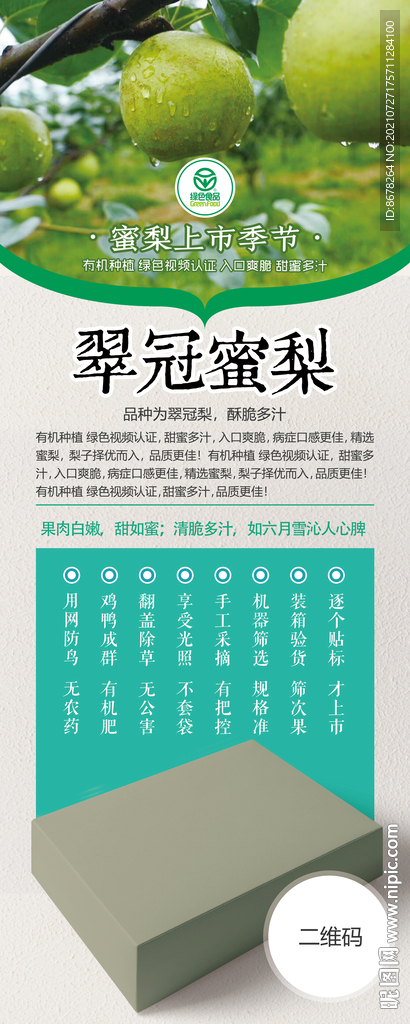 梨子展架