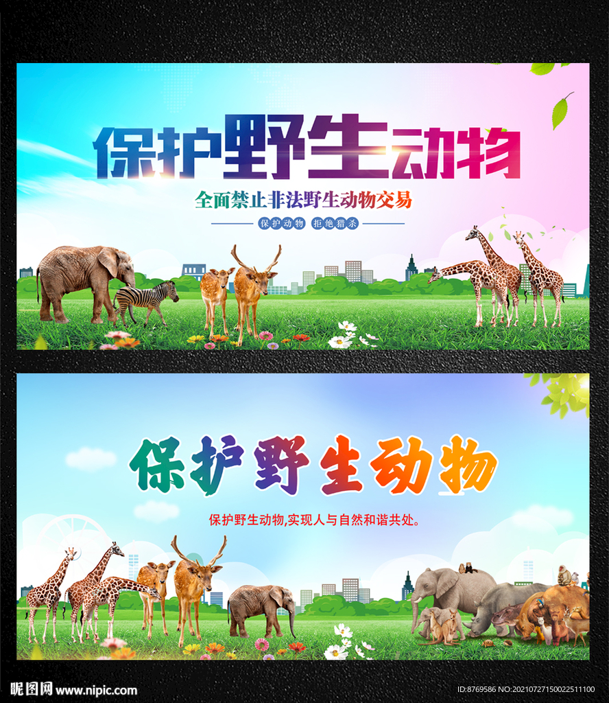 保护野生动物