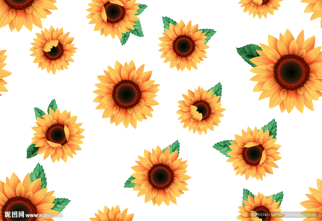 葵花