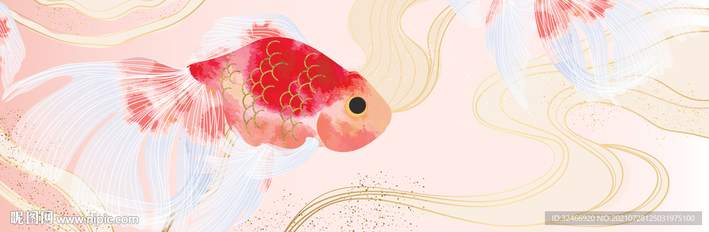 金鱼特写背景图