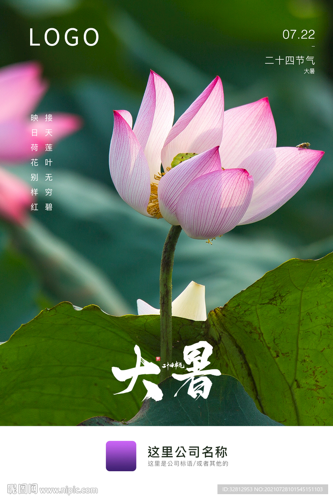 大暑海报