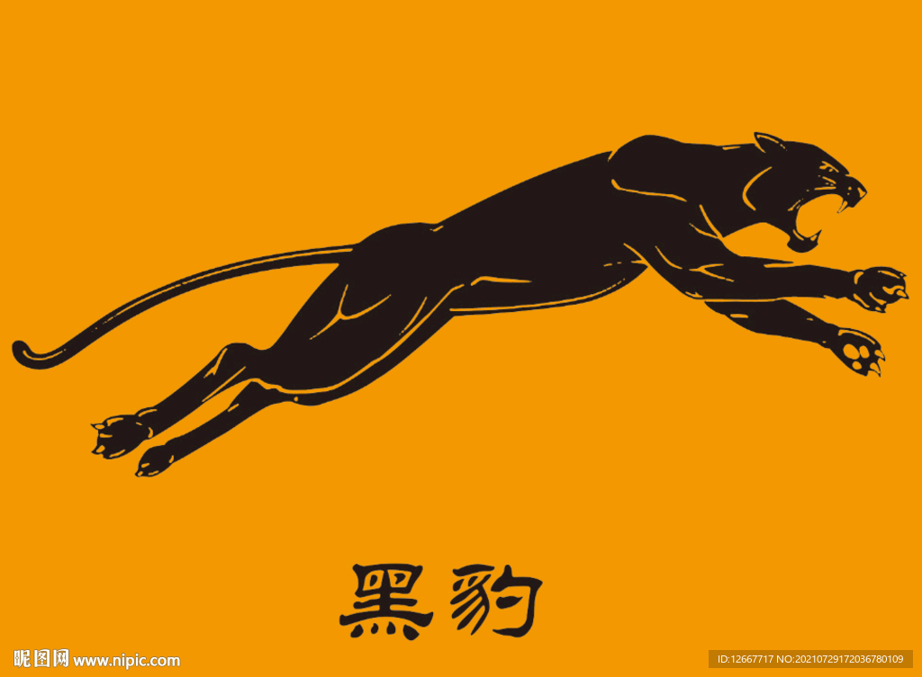 黑豹