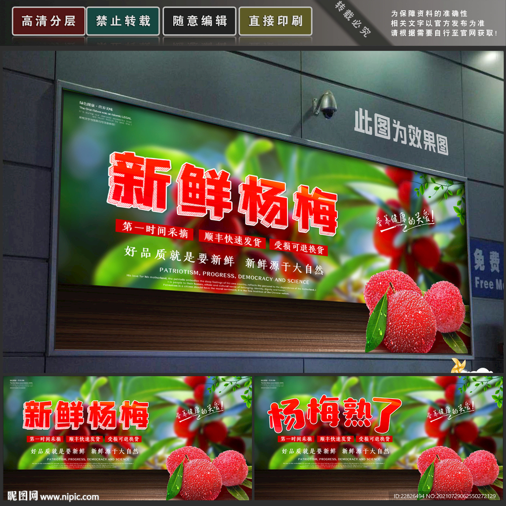 杨梅