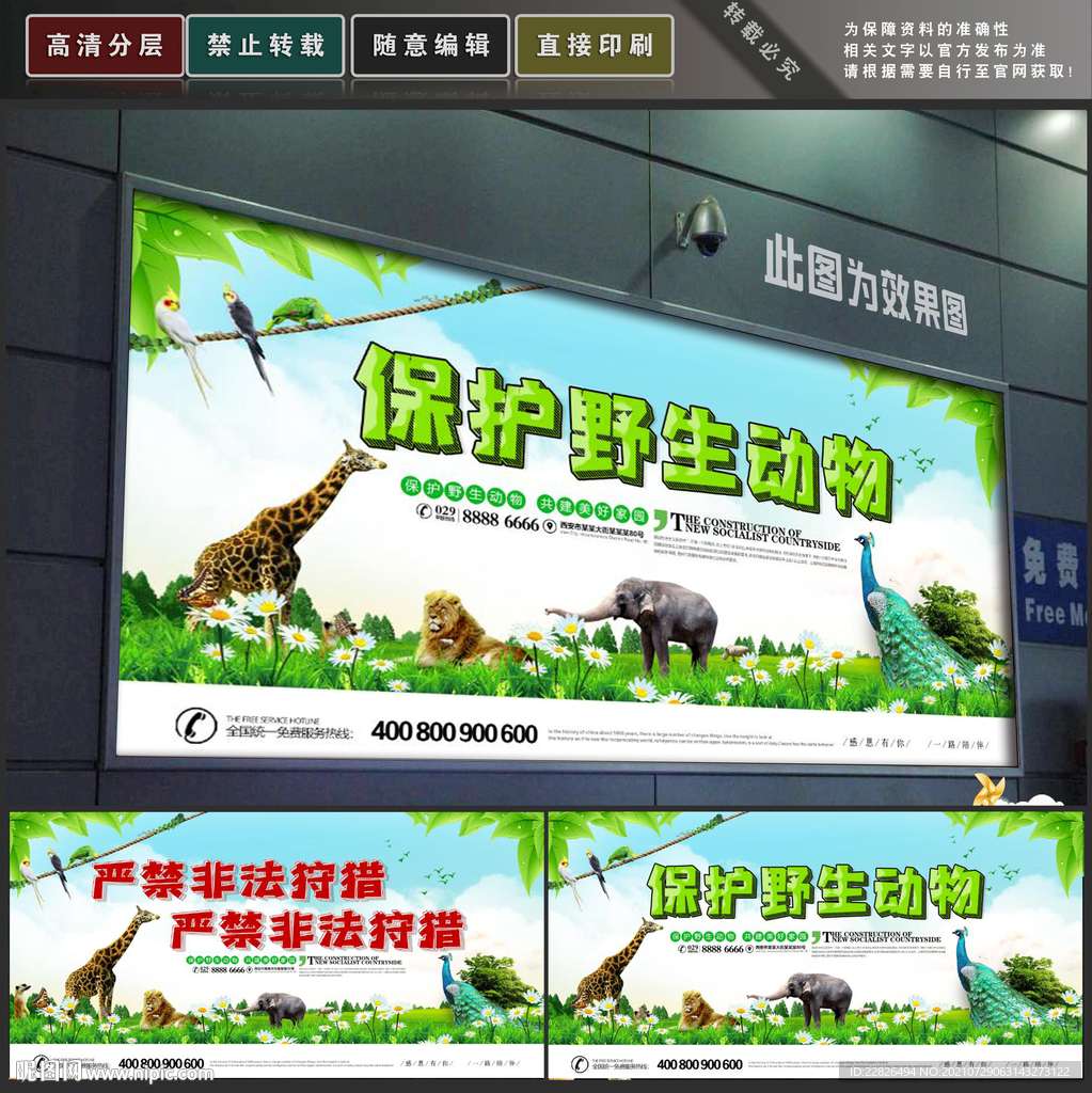 保护野生动物