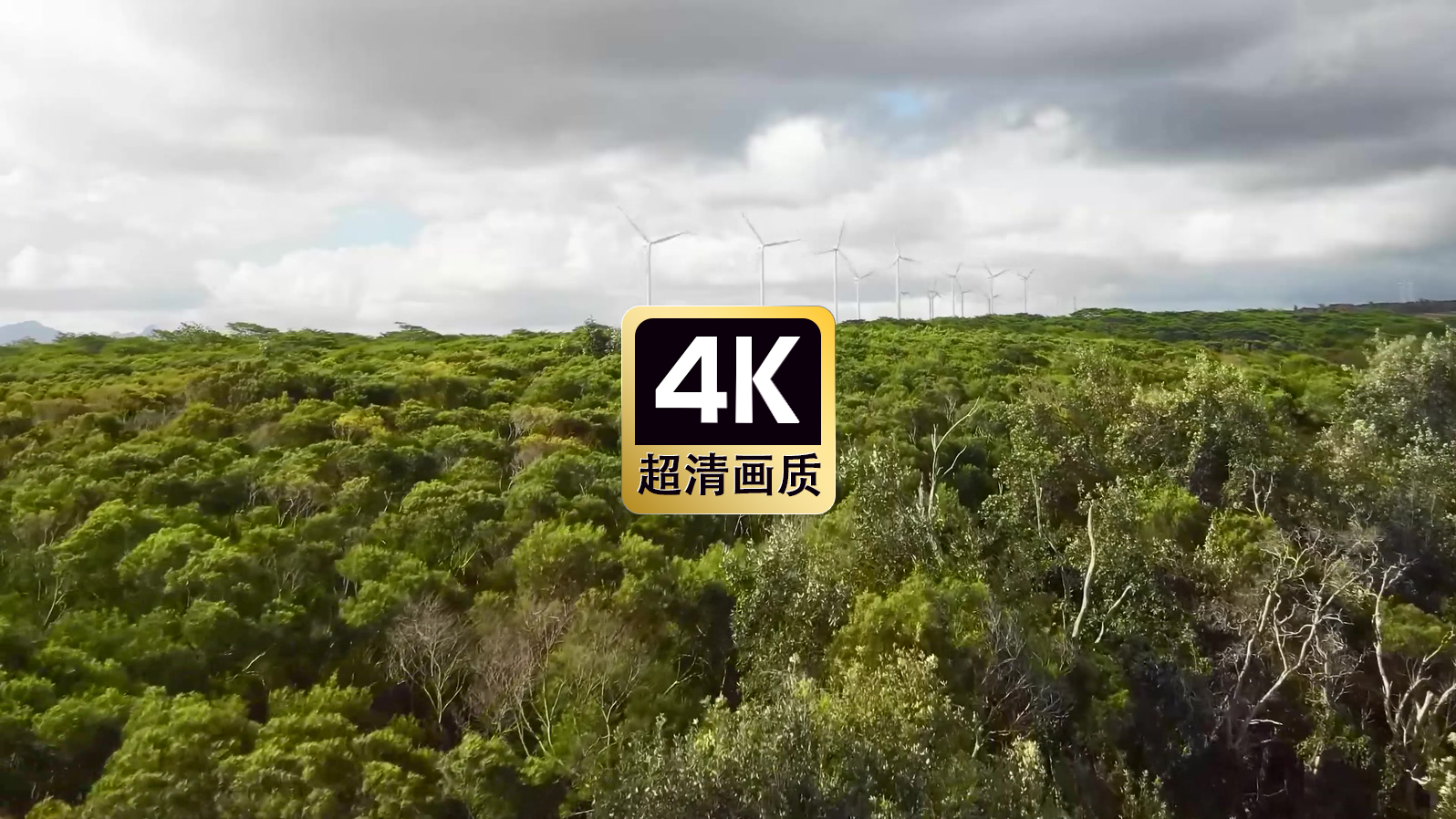 航拍丛林间的风力发电机群