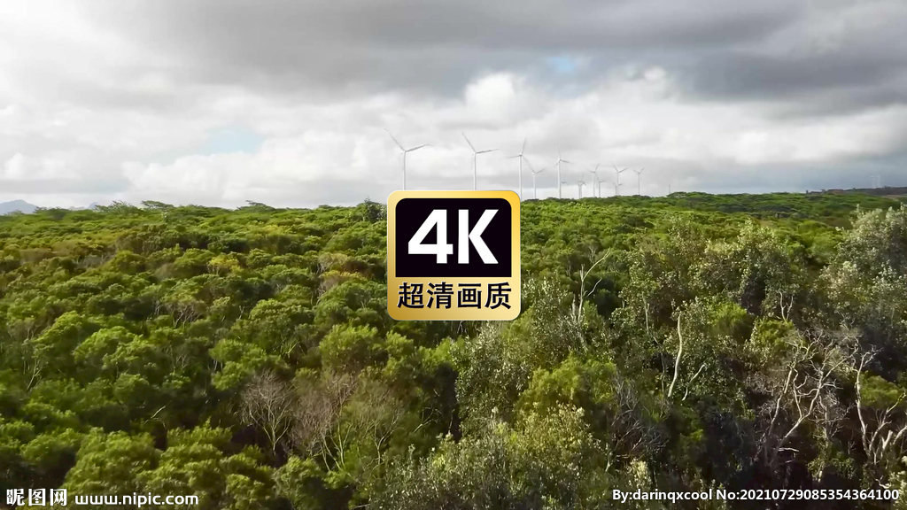 航拍丛林间的风力发电机群