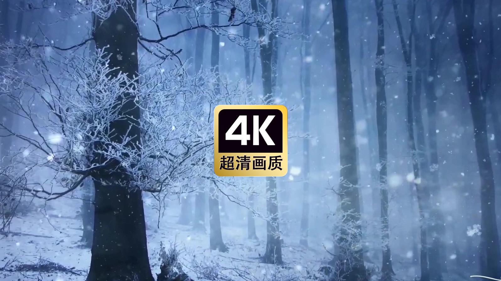 特写飘雪的雪林