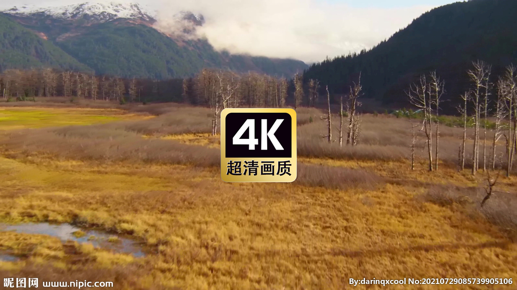 航拍远山草地树木
