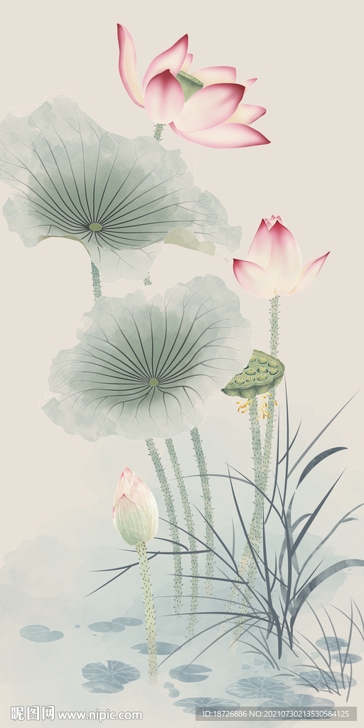 荷花图