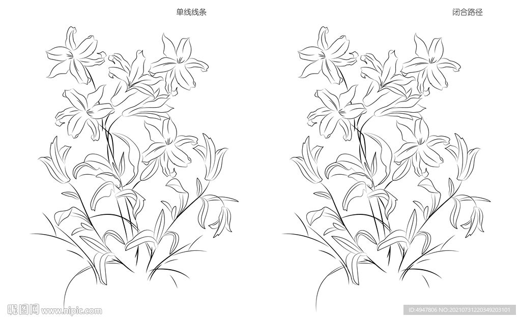 百合 矢量图