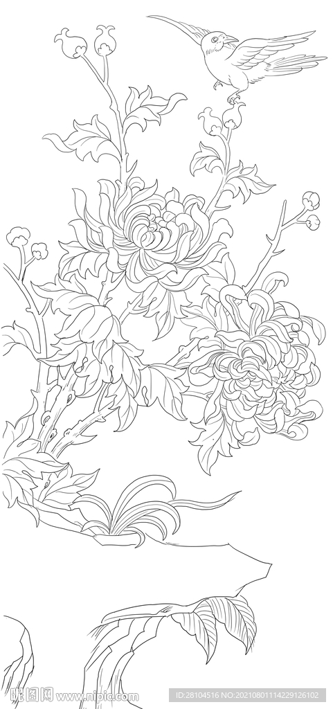 菊花