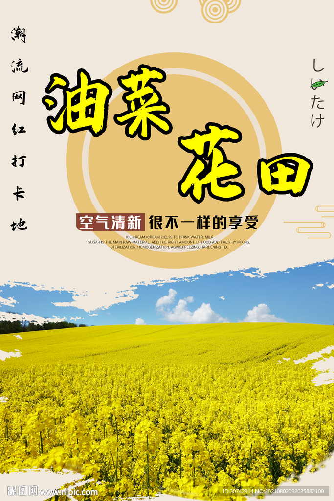 油菜花田