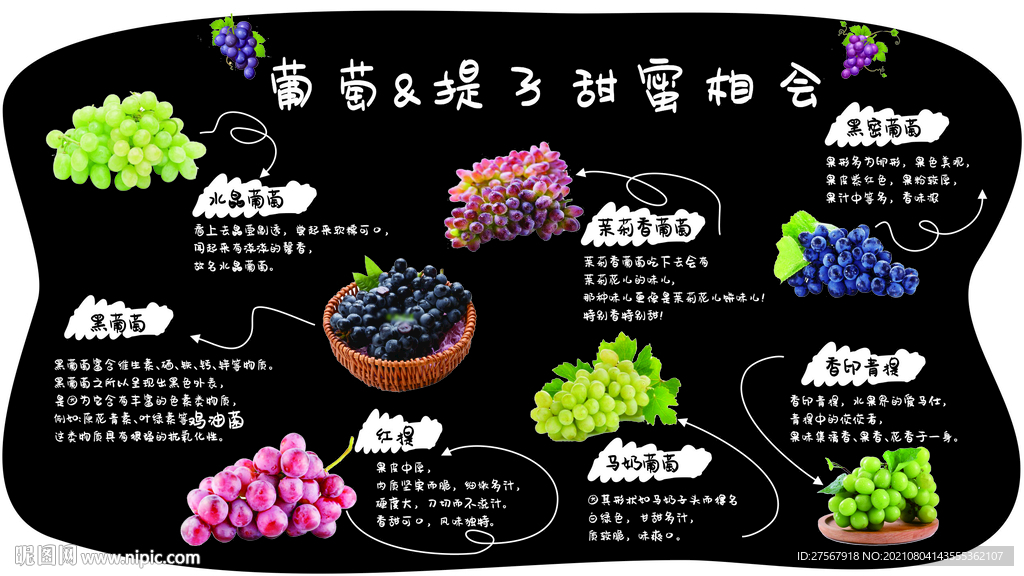 葡萄提子的辨别