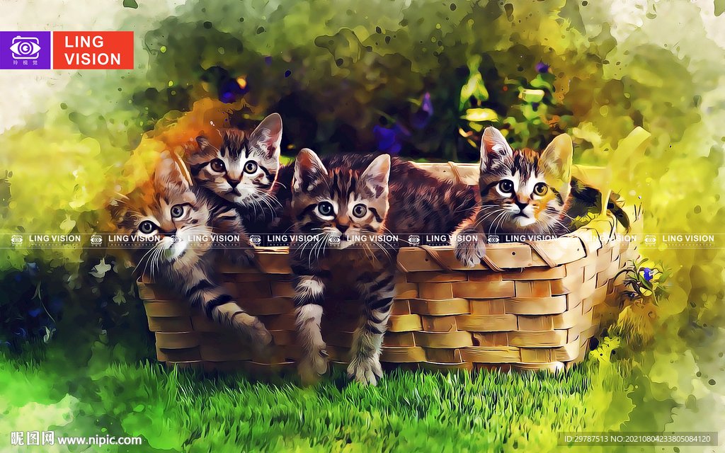 猫