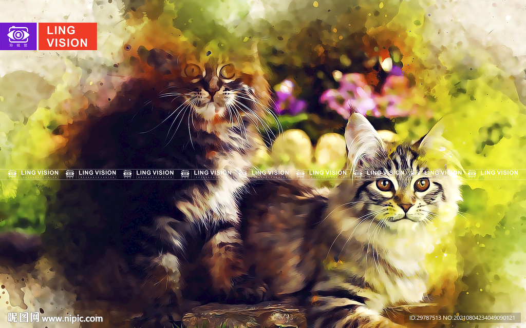 猫
