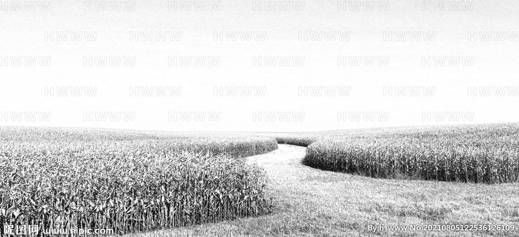 农田稻田黑白素描国风手绘插画