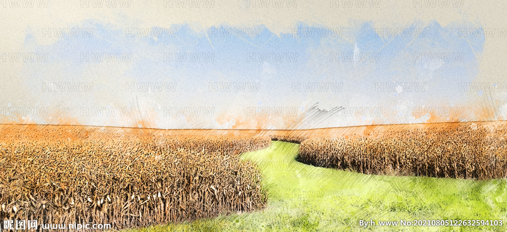 农田稻田玉米地草地手绘素描装饰