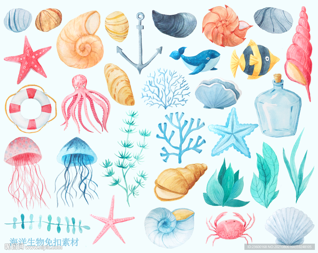 海洋生物