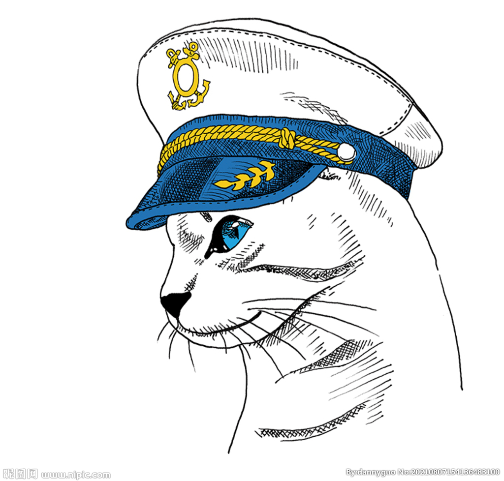 手绘海军动物猫