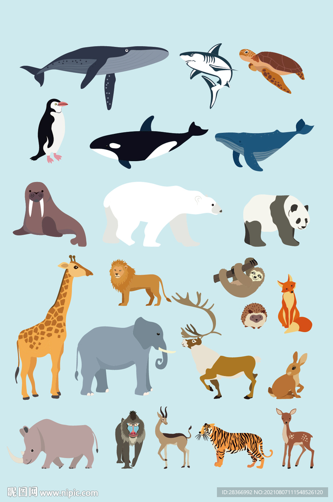 AI矢量卡通海洋动物森林动物