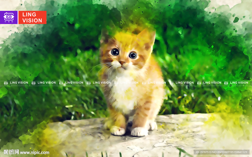 小猫