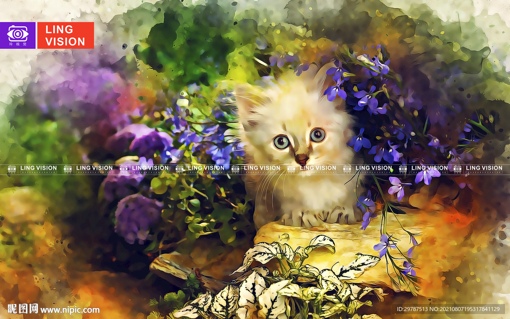 小猫