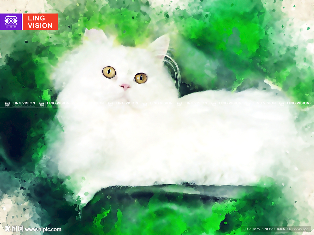 猫