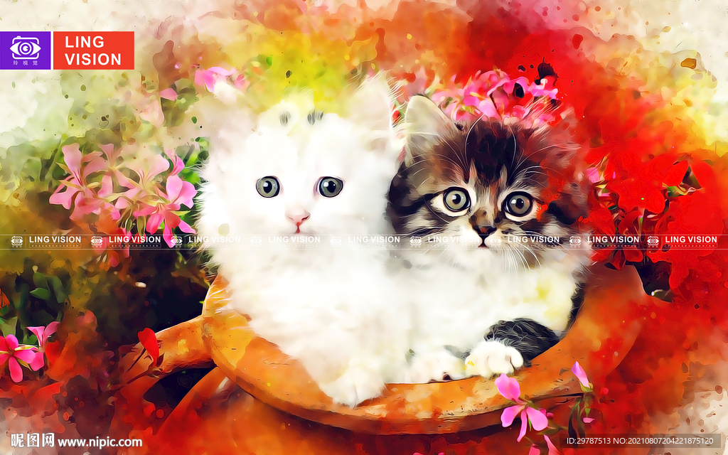 猫