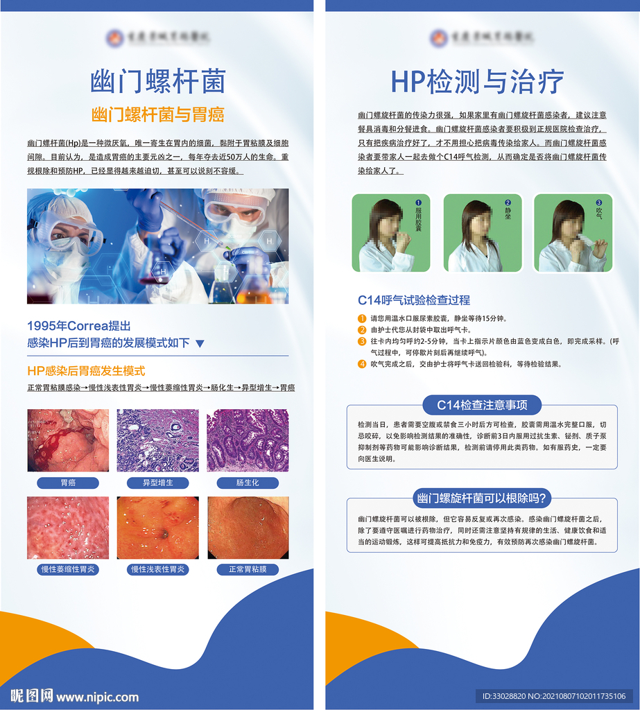幽门螺杆菌展架检查海报图片