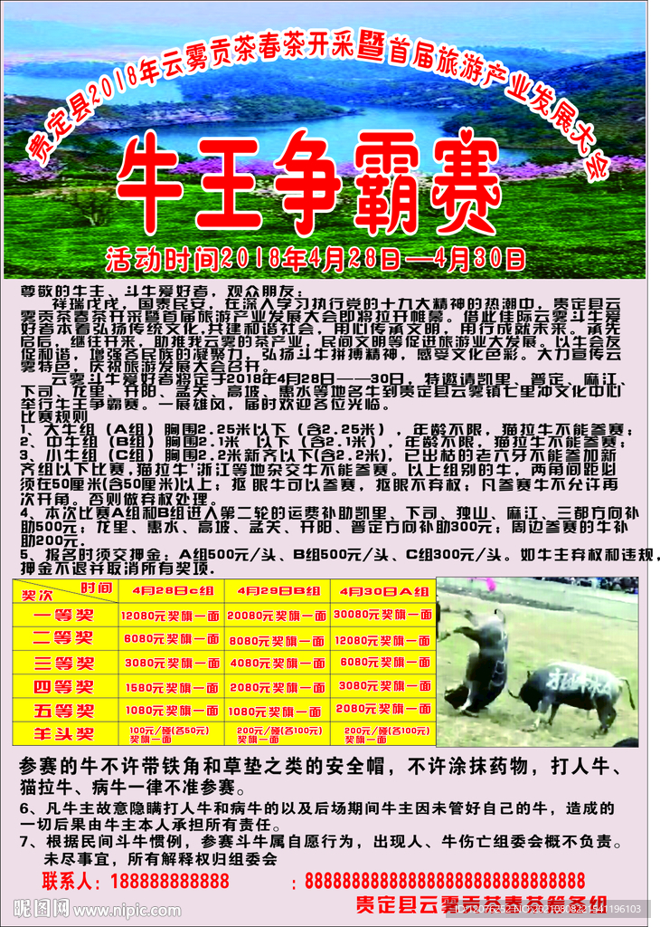 最新斗牛海报