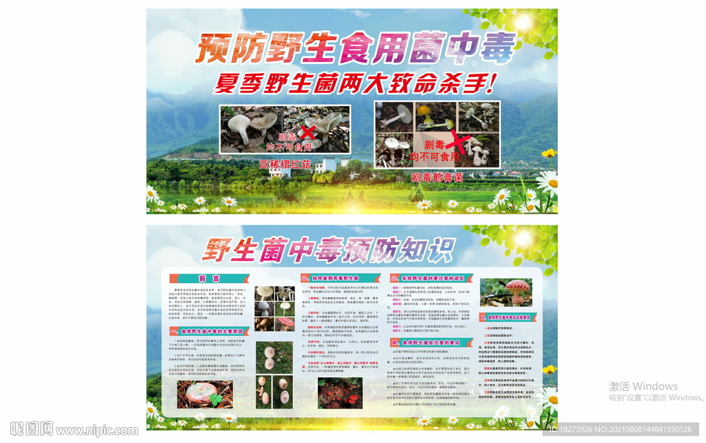 野生菌预防知识图片