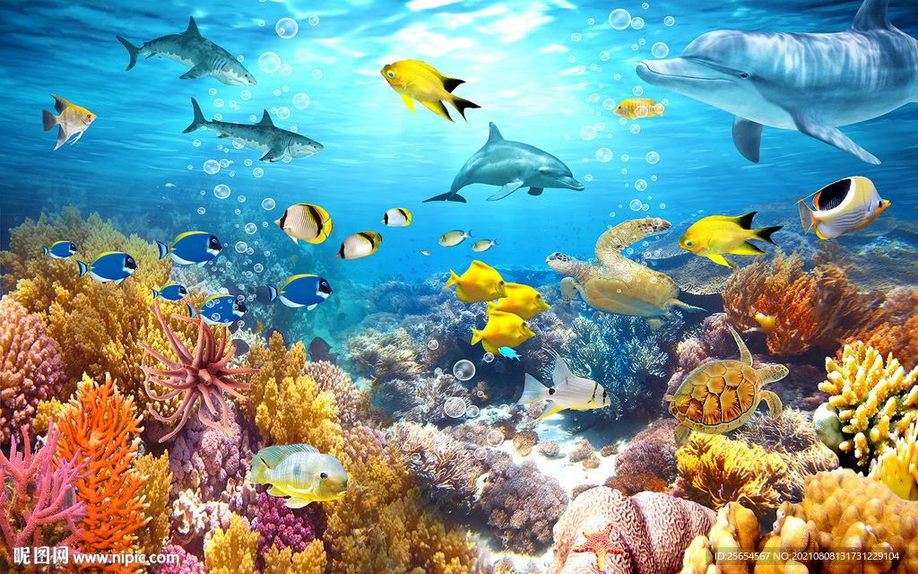 美海豚海底世界3D海电视背景墙