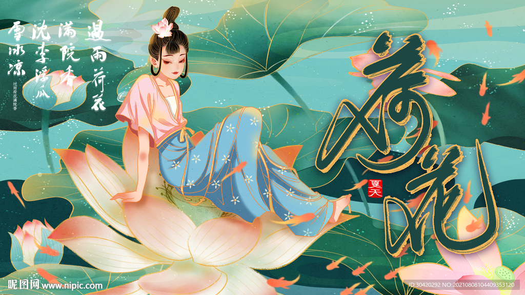 荷花 夏荷 莲花