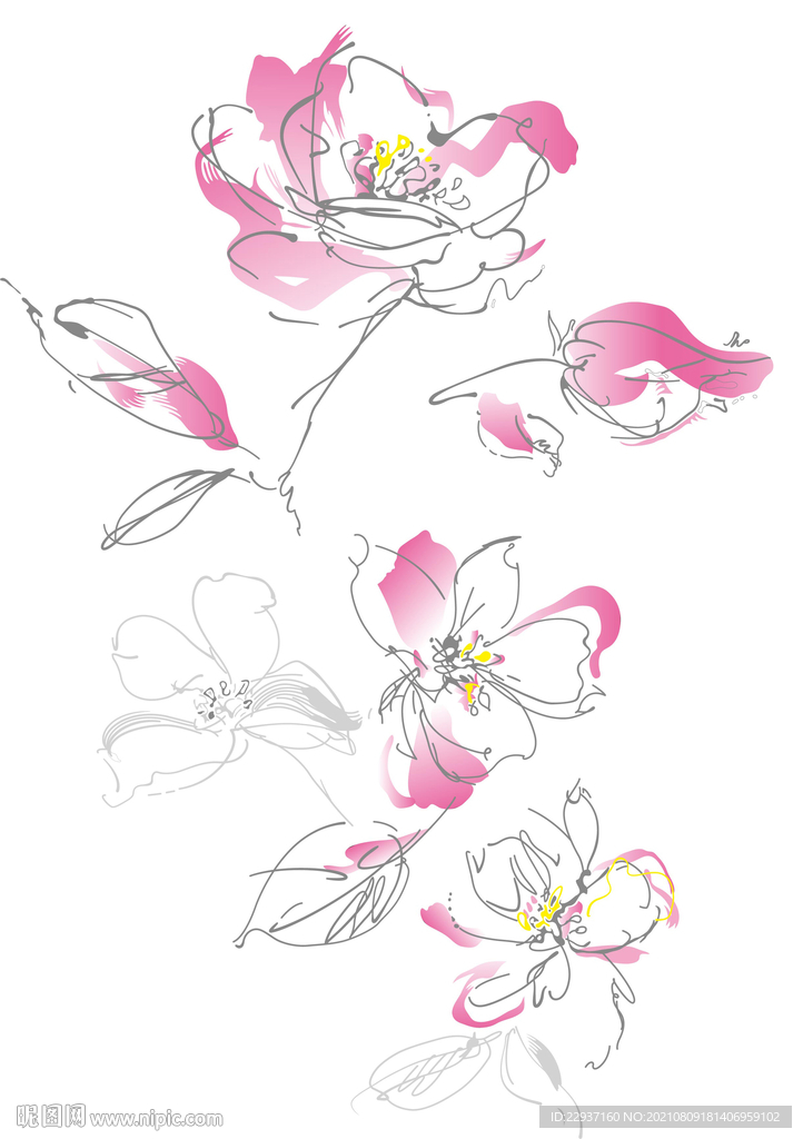 矢量花型