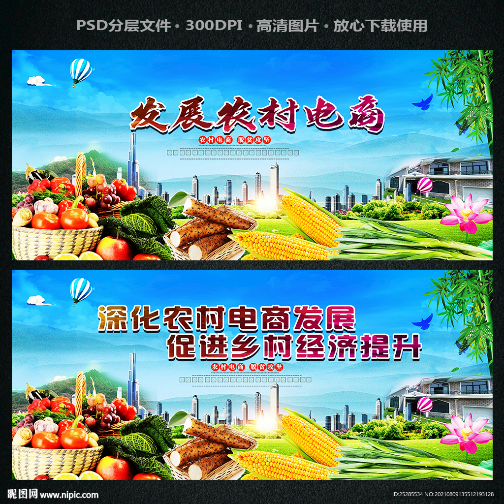 发展农村电商