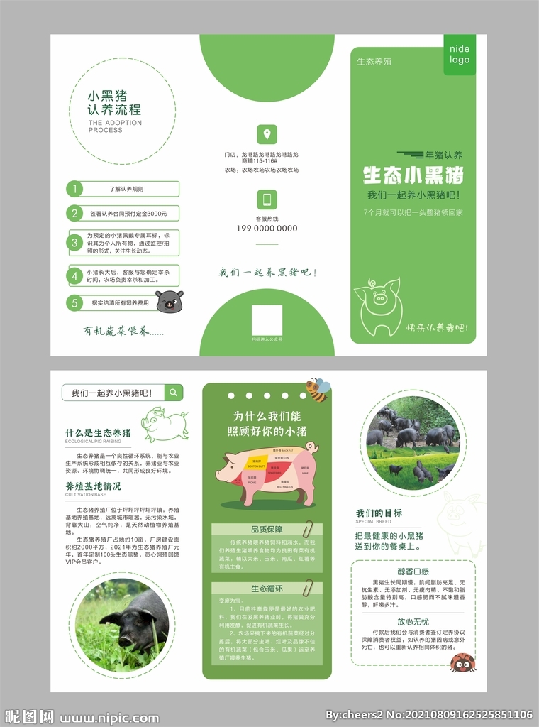 小黑猪养殖三折页