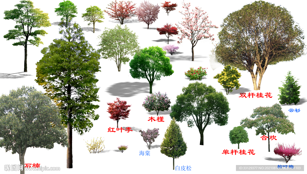 植物杂