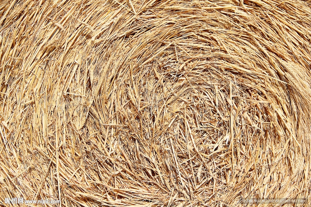 秸秆稻草