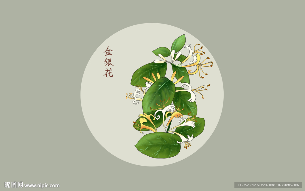 psd(cc)颜色:rgb元(cny)举报收藏立即下载关 键 词:水彩 金银花 手绘