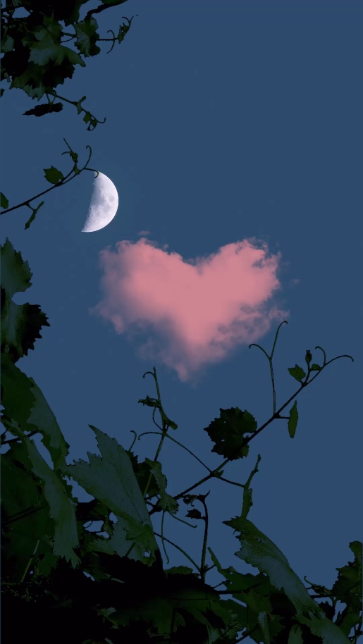 抖音月夜云朵星空