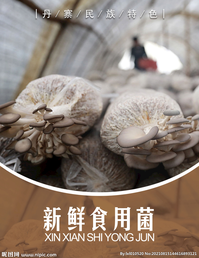 新鲜食用菌