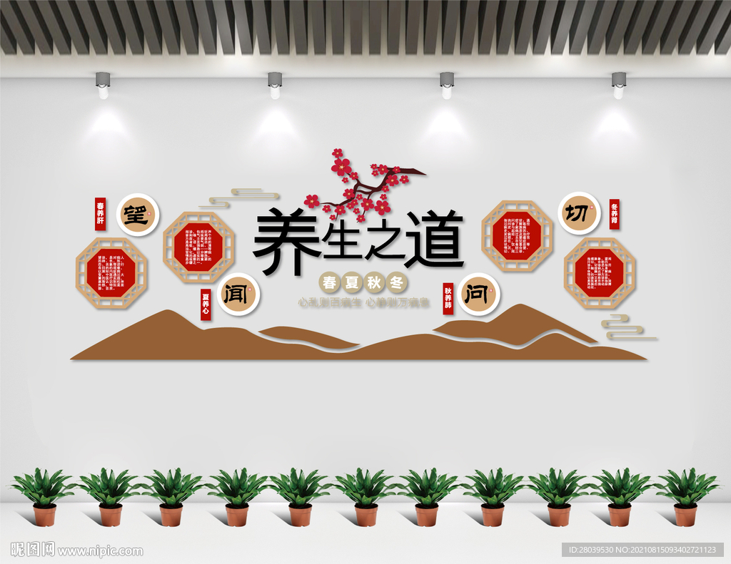 养生之道 