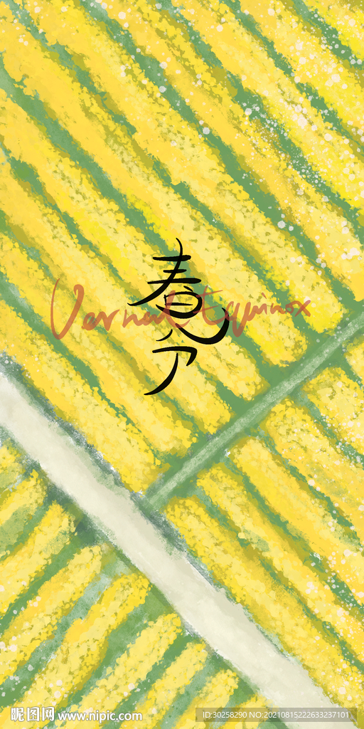 小清新节气插画