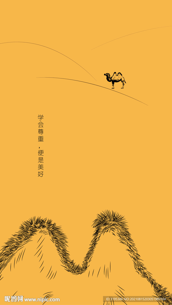 骆驼 海报 野生动物