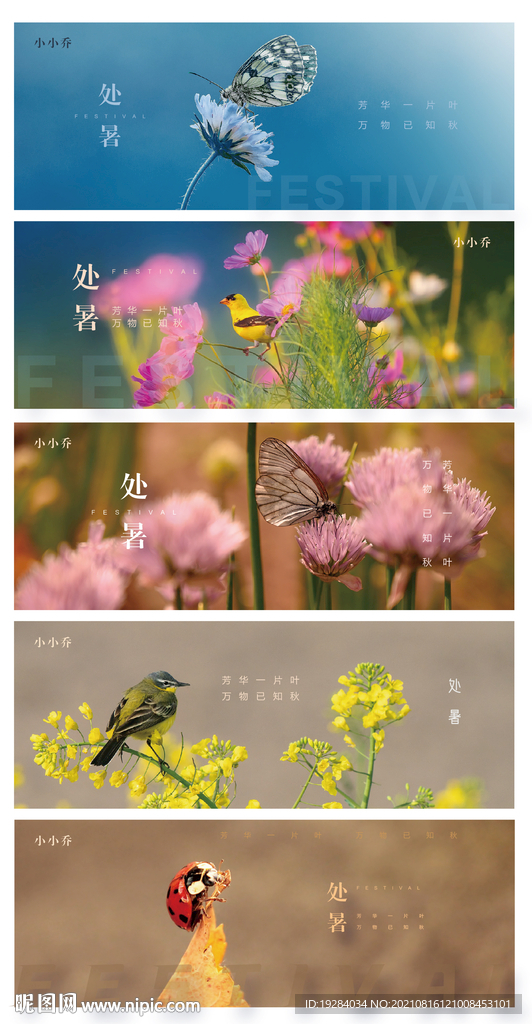 节气大暑 秋分