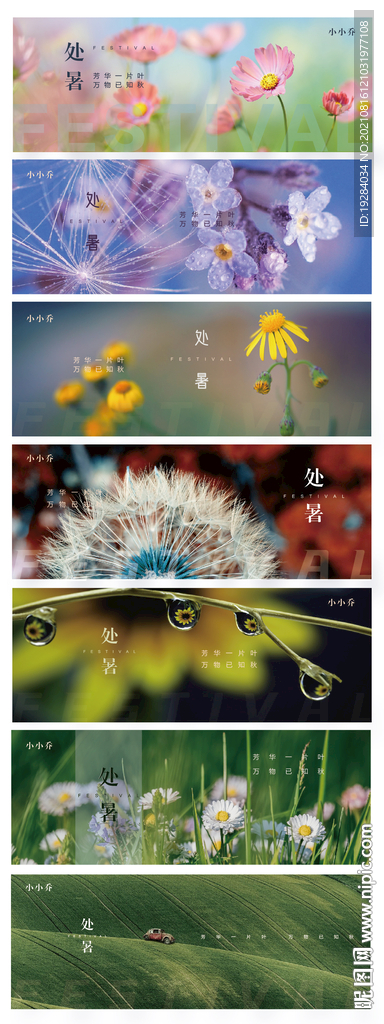 节气 大暑