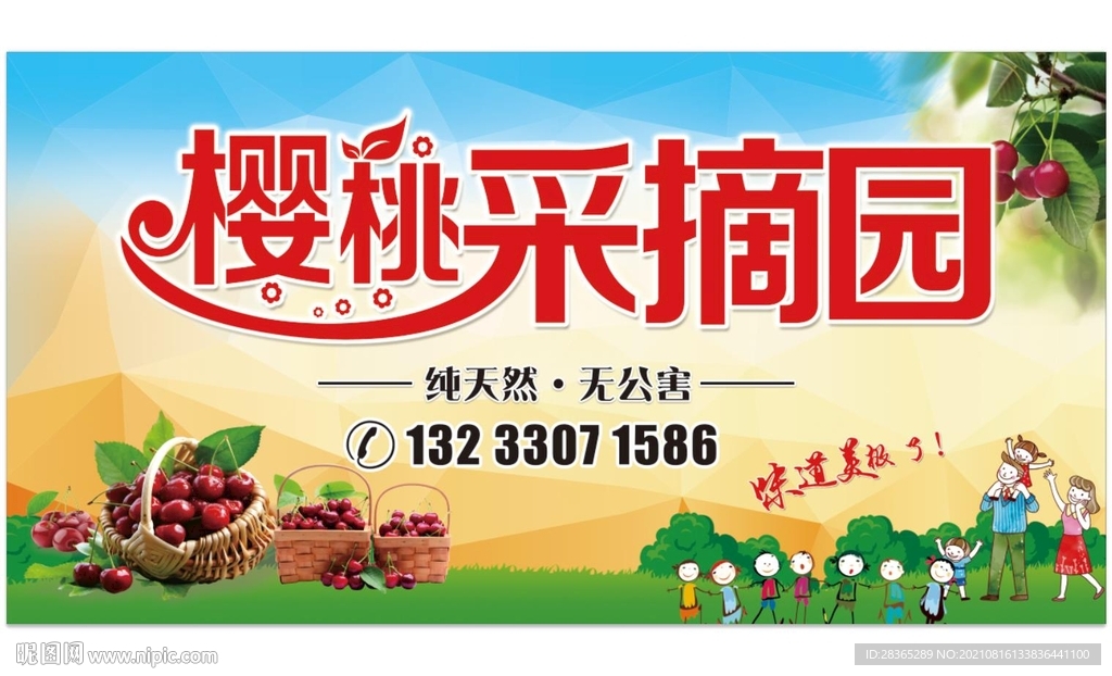 樱桃采摘园
